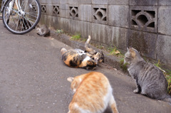 お姉ちゃんに負けてたまるか（右の妹）。。。