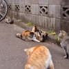 くんずほぐれず！