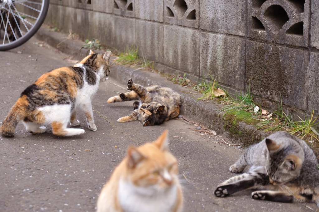 まだやれるのか？