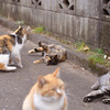 まだやれるのか？