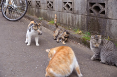 今日のところはこれで許してあげる！