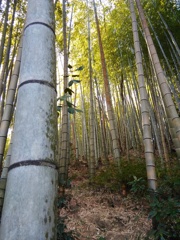 さわやか空間