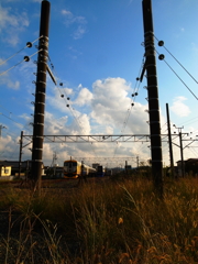 電車も仲良く一休み。