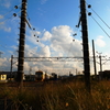 電車も仲良く一休み。