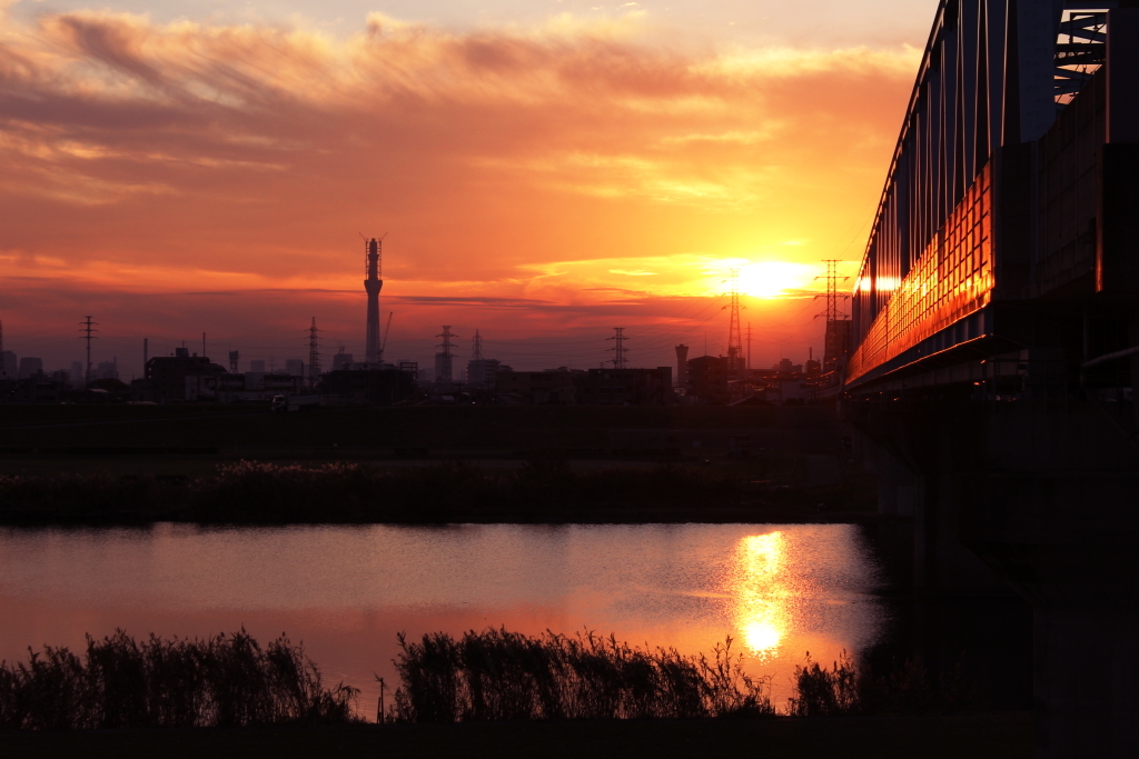 夕日に照らされて