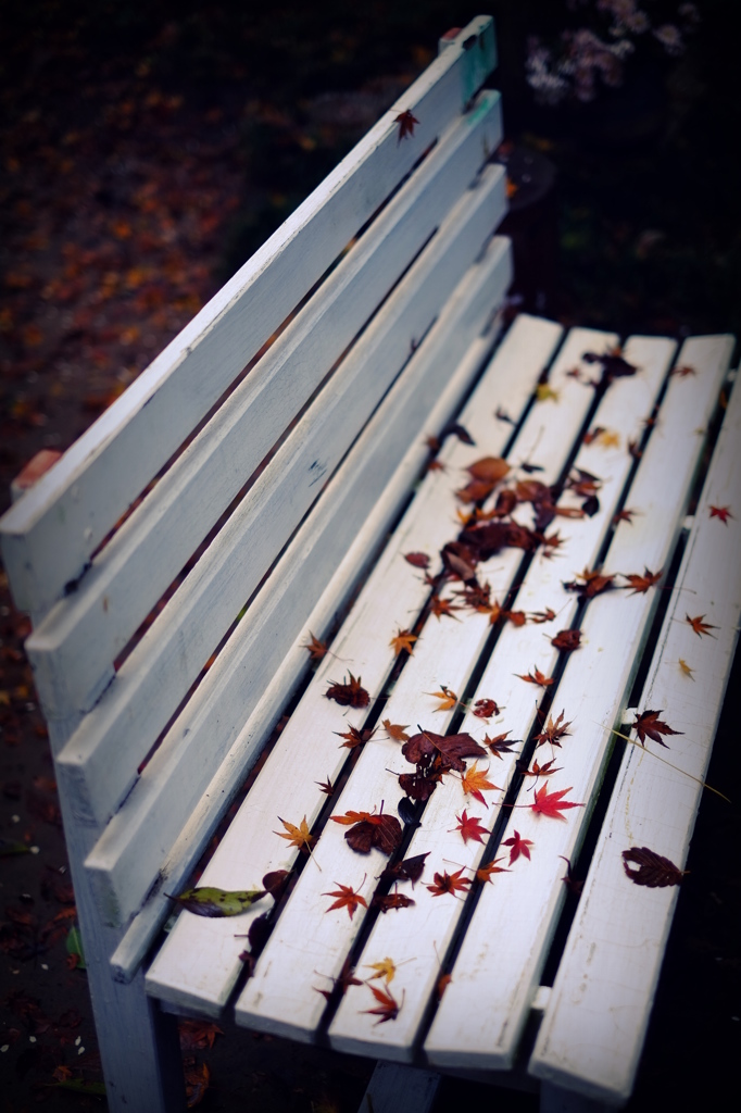秋のベンチ