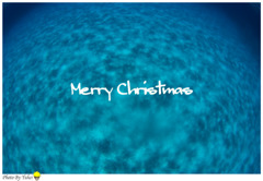 Ｍｅｒｒｙ　Ｃｈｒｉｓｔｍａｓ