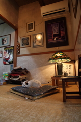 絶対に譲れない場所