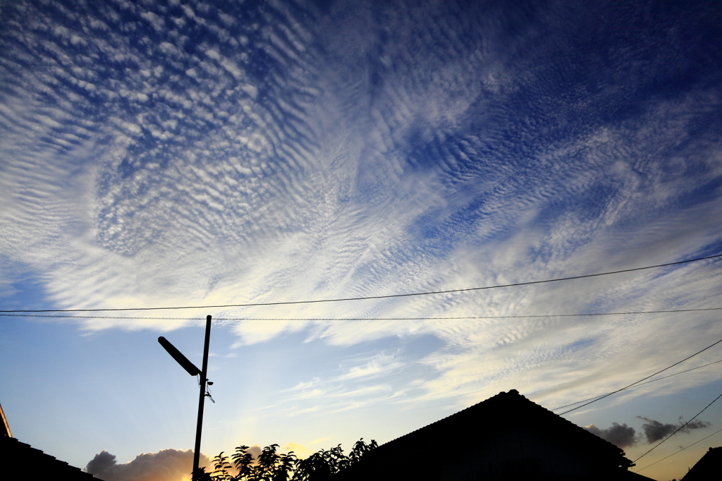 夕陽引力