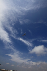 空海へ