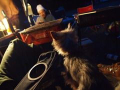 パパのところにいきたい