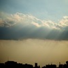 蛇長雲