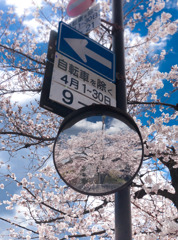 花見小路通