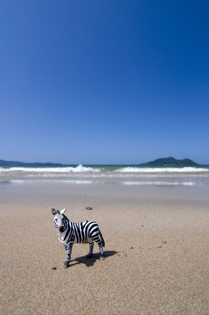 やっぱり夏は終わっていた