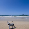 やっぱり夏は終わっていた