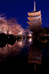 京都　東寺