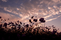 夕闇