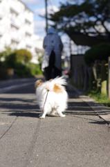 おうちに帰る！