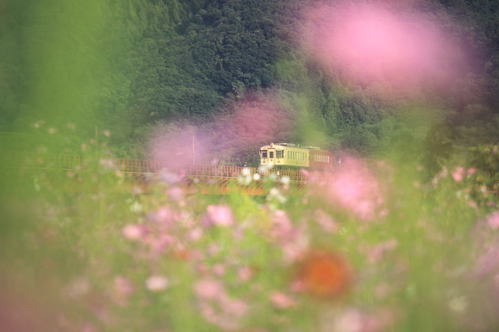 はんなり鉄道♪