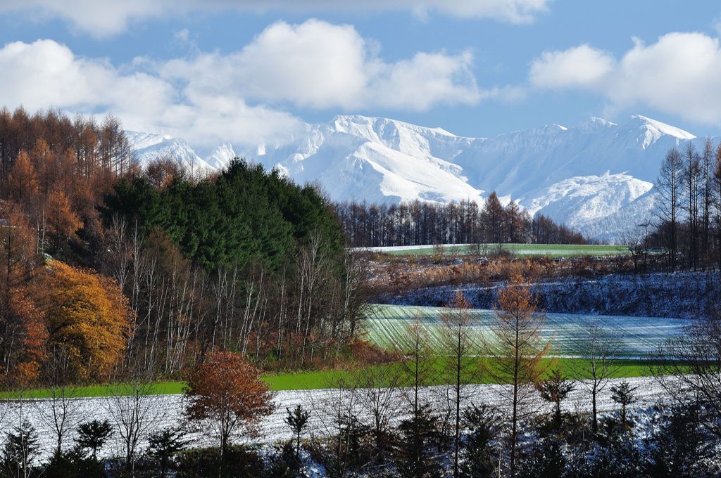 美瑛の雪化粧