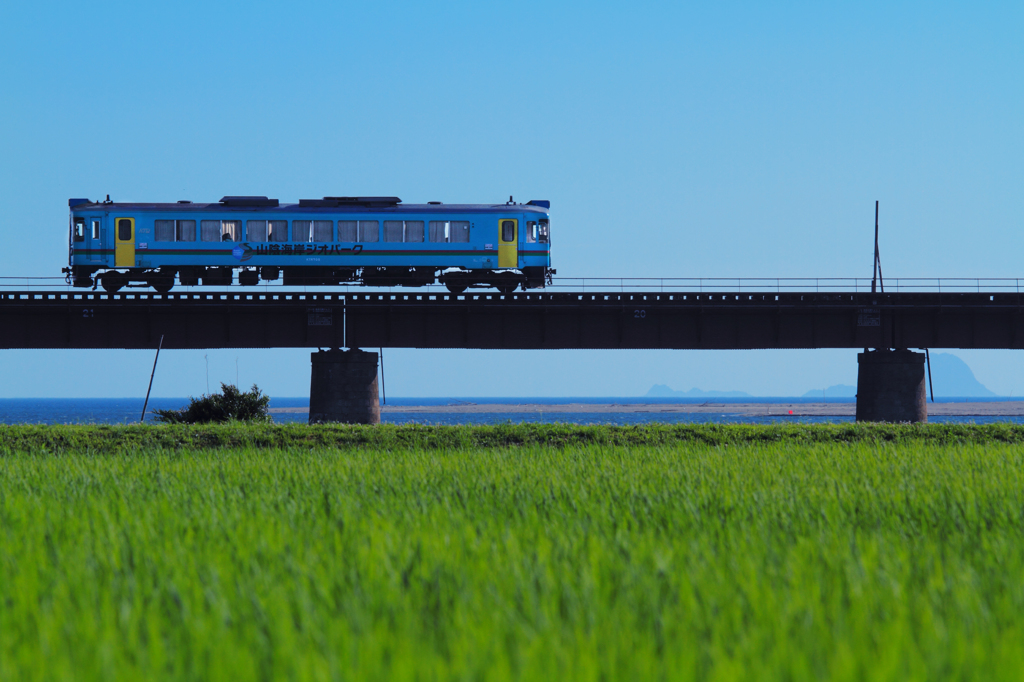 初夏の風と・・・