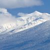 山のスロープがお気に入り　富良野から望んで