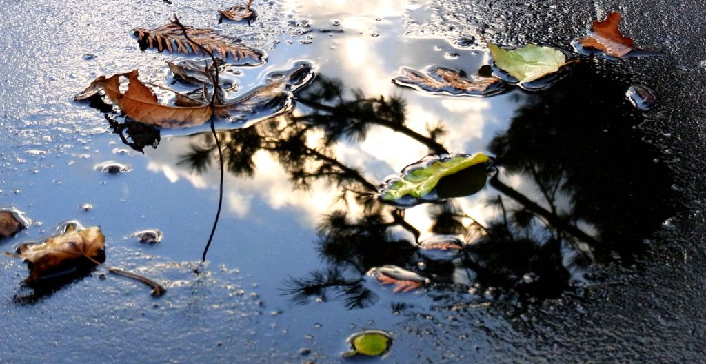 水溜りの風景