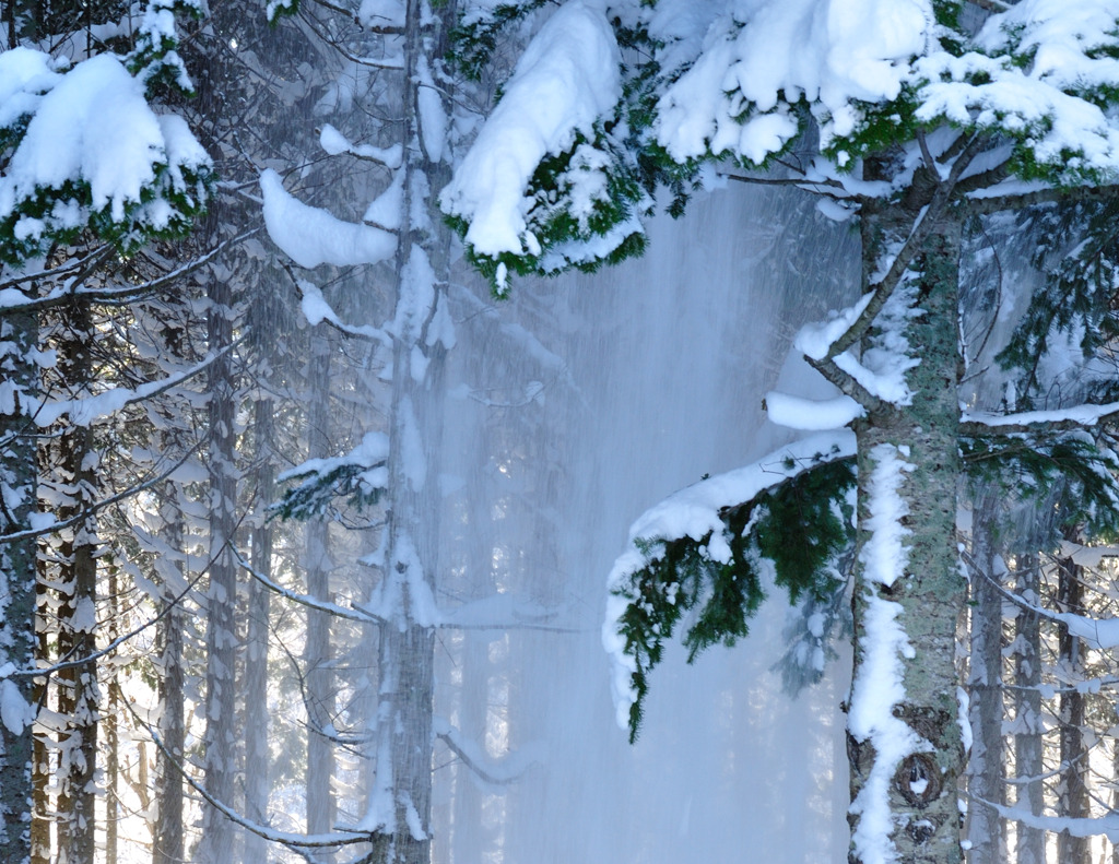 落雪