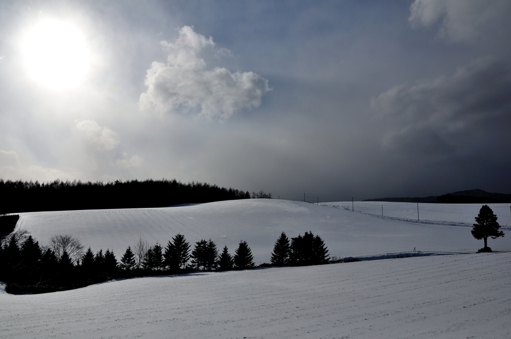 風、雲、雪、太陽、木立　富良野にて