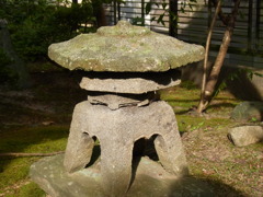 RIMG0009