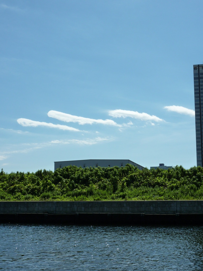 P1000084