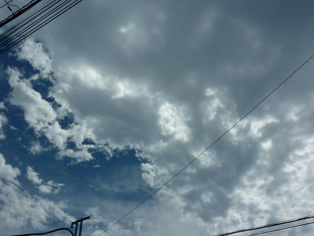 P1000056