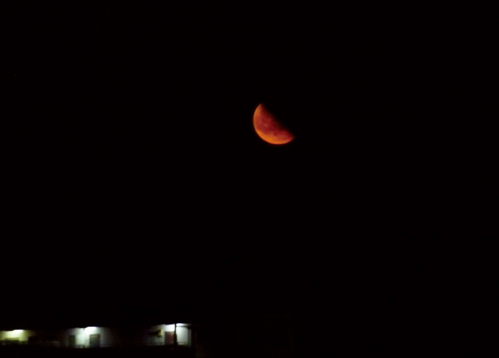 P1000046_r