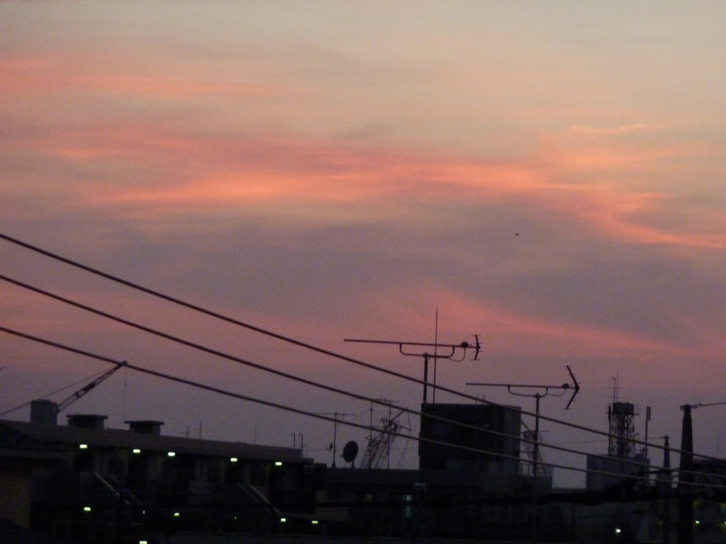 P1000042