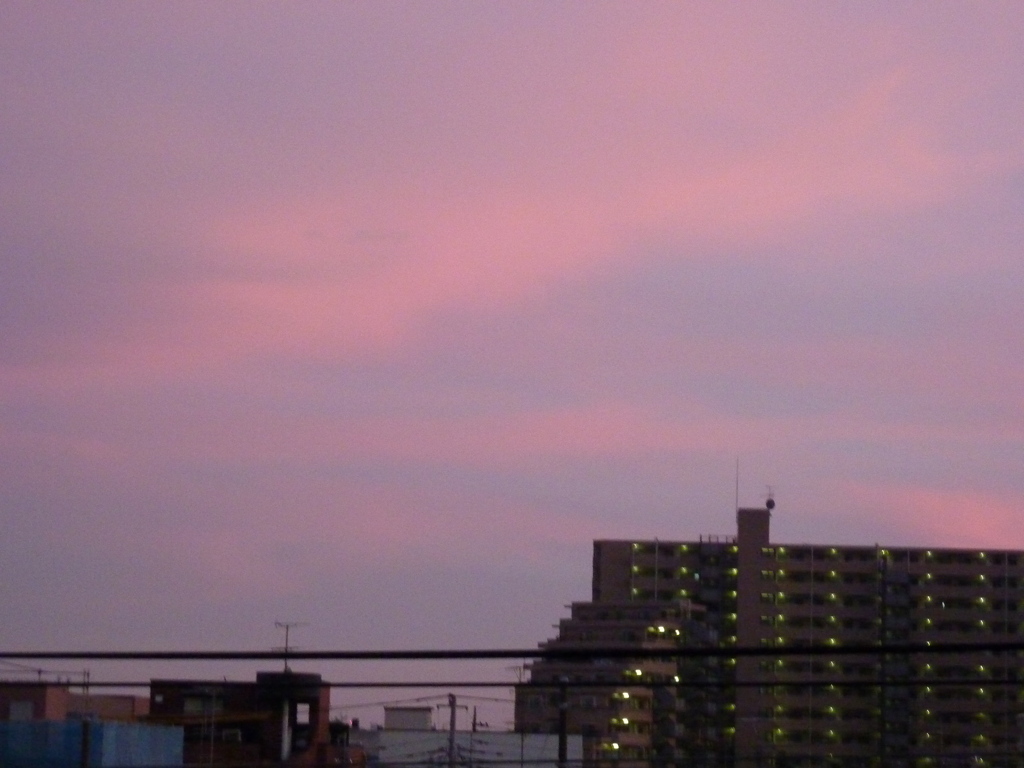 P1000039