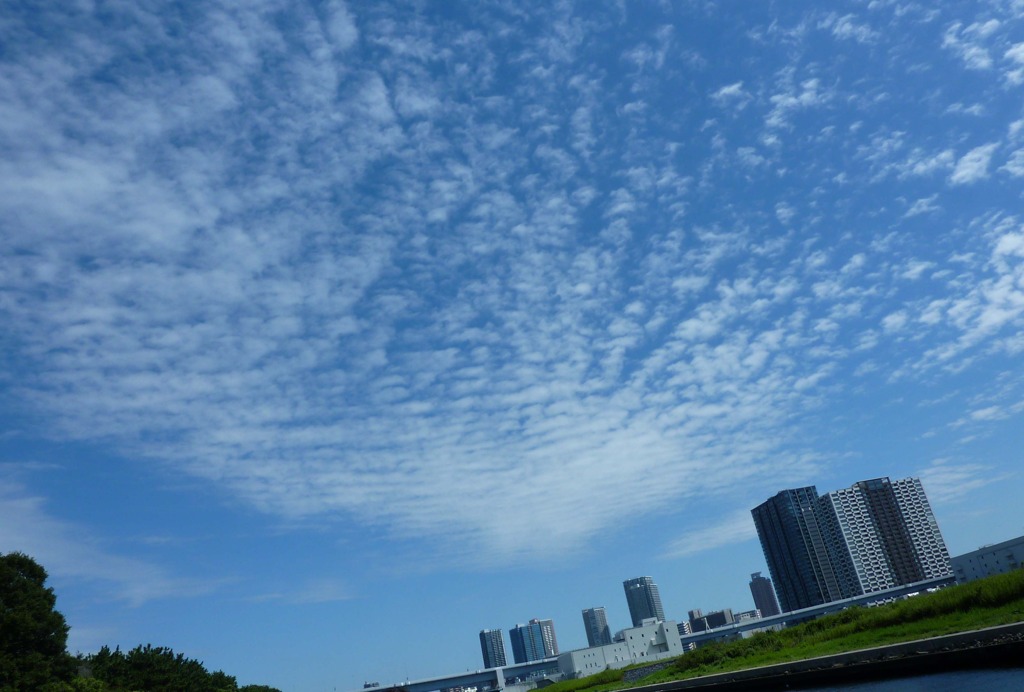 P1000086_r