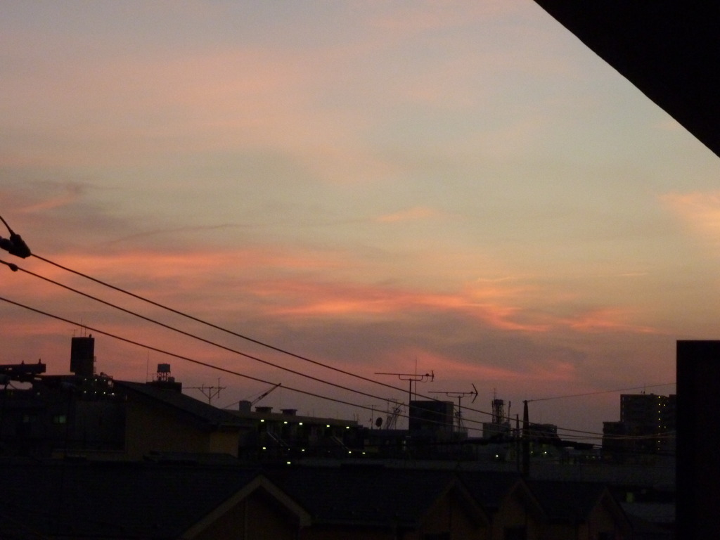 P1000041