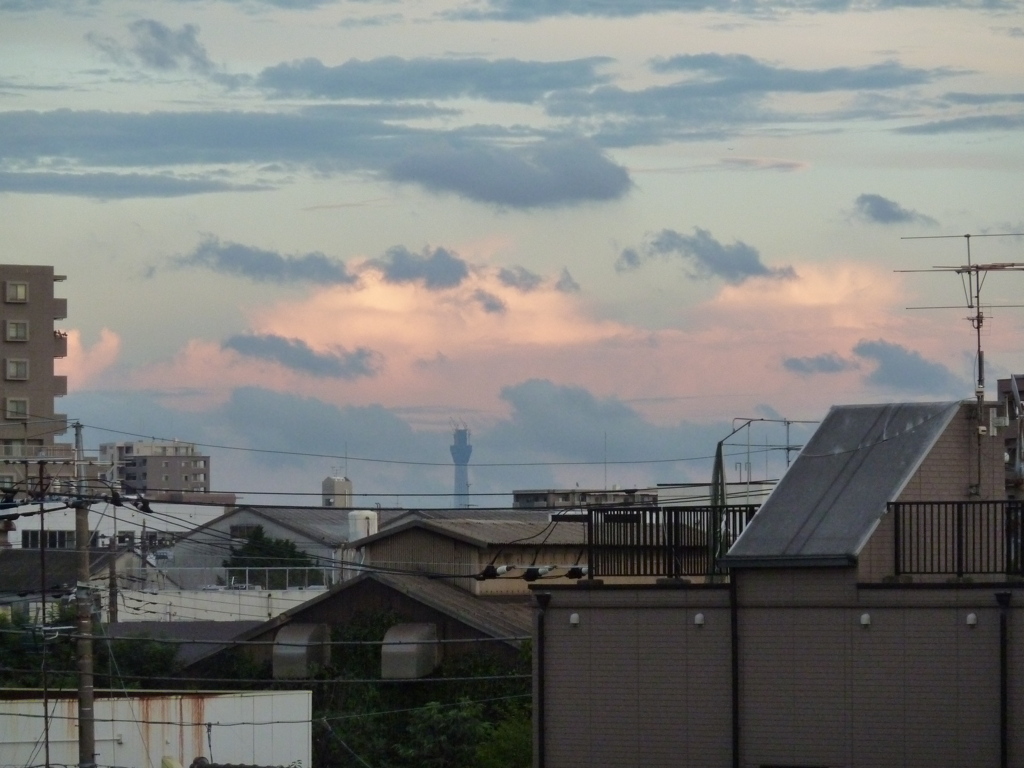 P1000036