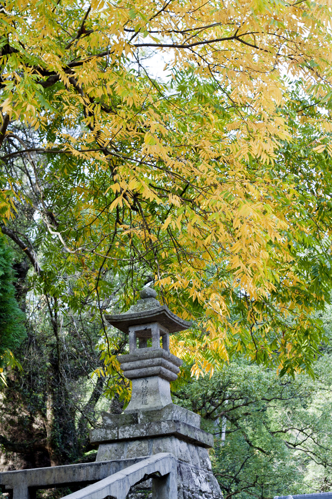 蒲生神社3