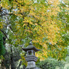 蒲生神社3