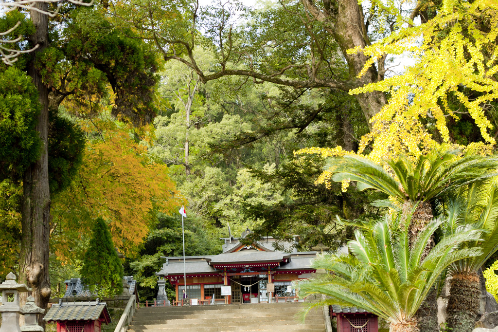 蒲生神社