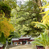 蒲生神社