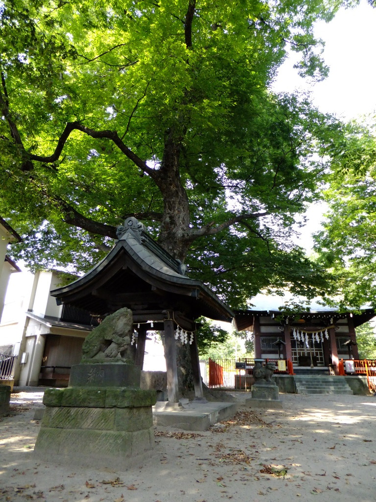 稲城市　青渭神社
