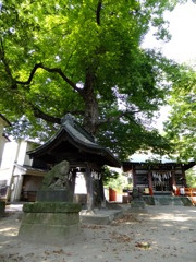 稲城市　青渭神社