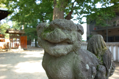 稲城市　青渭神社