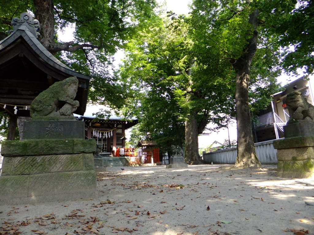 稲城市　青渭神社