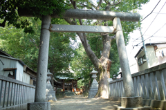 稲城市　青渭神社