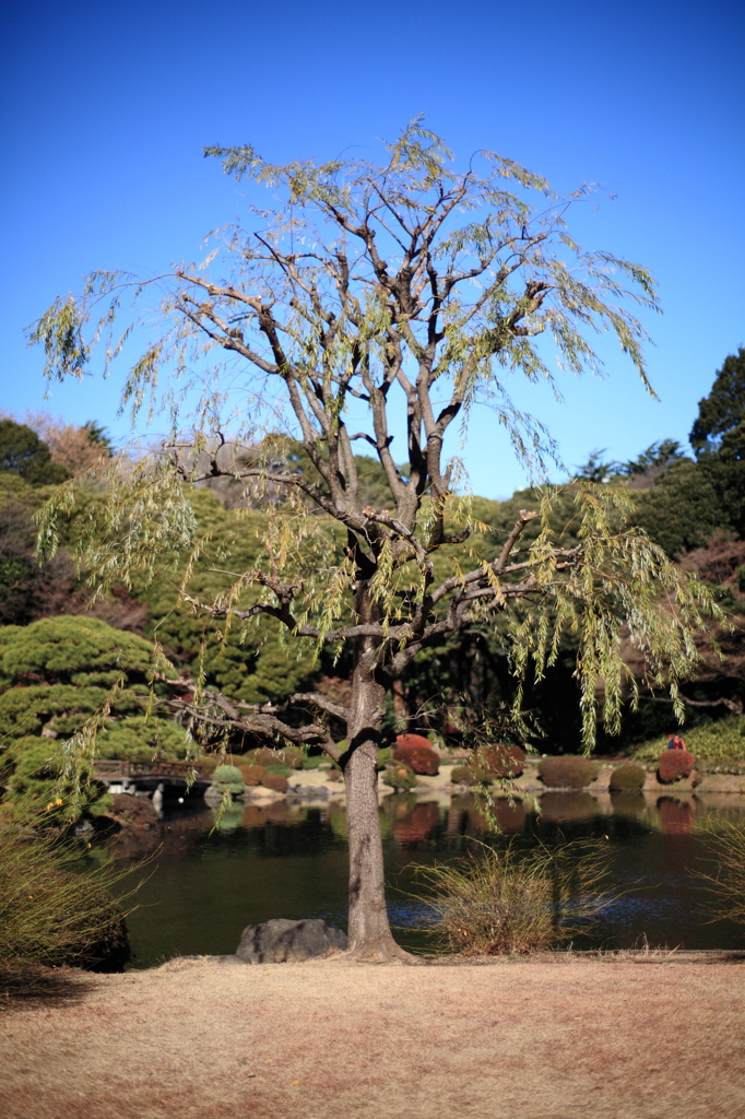 風格