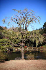 風格