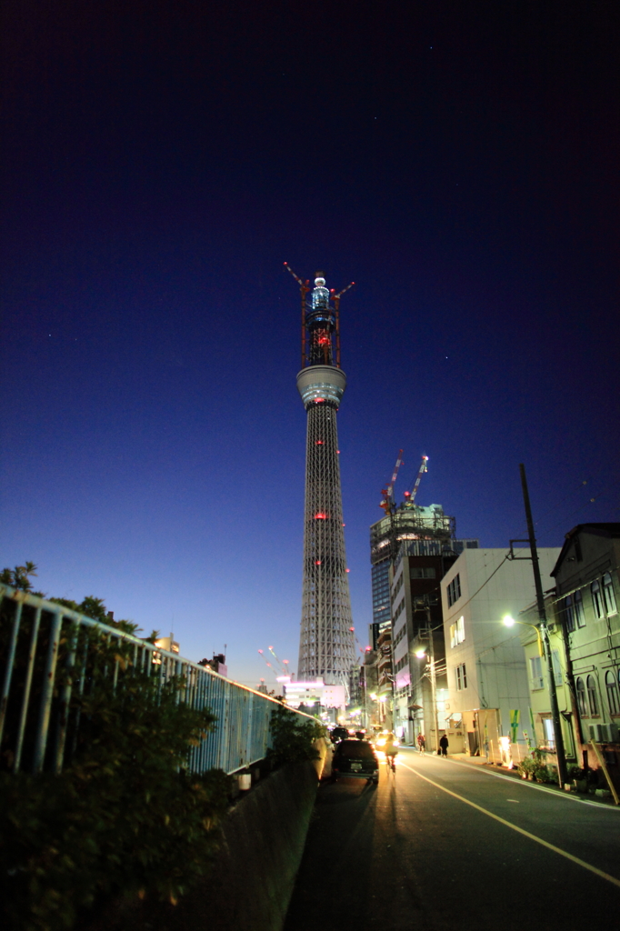 冬の巨塔
